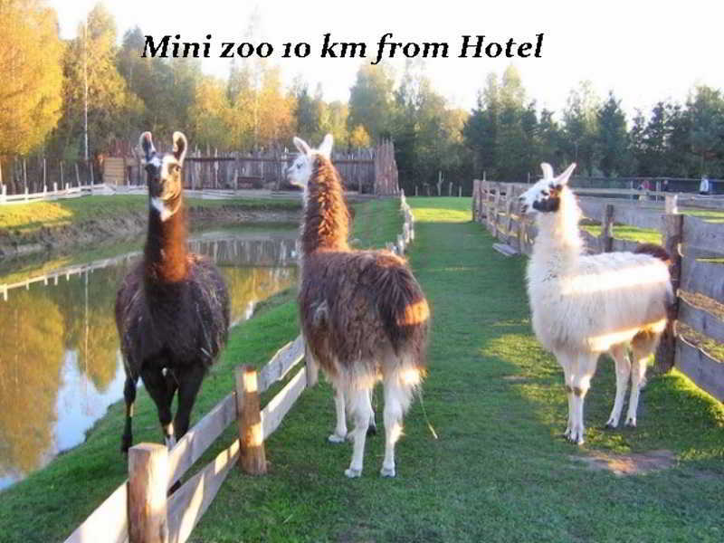 Hotel Pajurio Vieskelis كلابيدا المظهر الخارجي الصورة